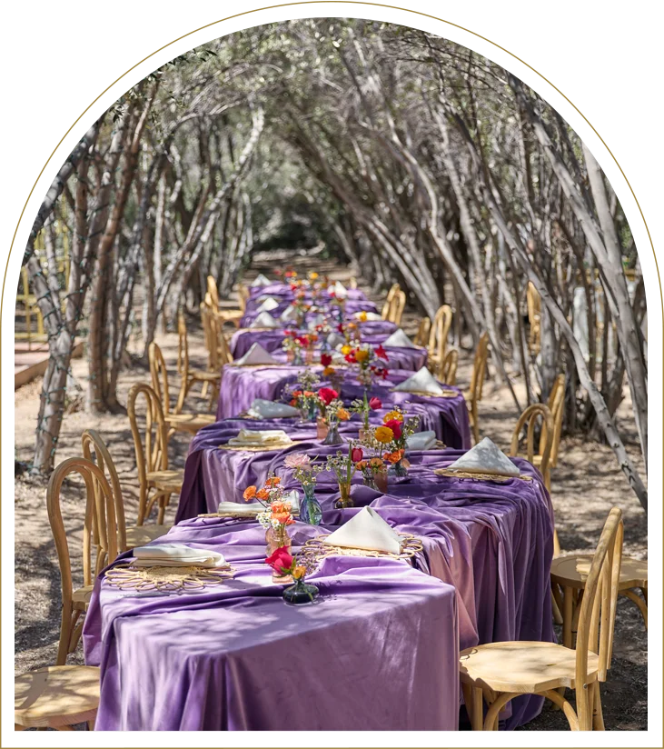 Olive Grove Location 731 828